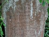 image of grave number 678517